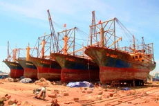 Hàng loạt tàu vỏ thép của
ngư dân tỉnh Bình Định bị hư hỏng phải đưa lên bờ sửa chữa gần cả năm trời.