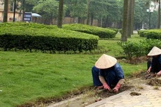 Công ty CP Tư vấn đầu tư xây dựng Hà Thành vừa trúng 3 gói thầu cung cấp dịch vụ công ích trên địa bàn TP. Hà Nội. Ảnh minh họa