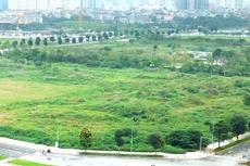 Gần đây xuất hiện tình trạng người có tài sản gom nhiều tài sản thành một lô để bán đấu giá, đặc biệt là đấu giá quyền sử dụng đất. Ảnh: Nhã Chi