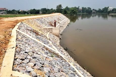 Gói thầu Xây lắp thuộc Dự án Xây dựng kè kiên cố bảo vệ khu dân cư ấp Lý Hòa Hiệp (khu vực từ bãi vật tư Duy Khánh đến cầu Vàm Sát 2), xã Lý Nhơn, huyện Cần Giờ (TP.HCM) có giá gói thầu 70.651.121.709 đồng. Ảnh minh họa: Internet