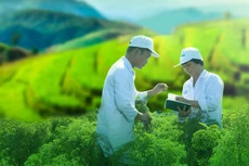 TRA chốt quyền chia cổ tức còn lại năm 2020 tỷ lệ 10%