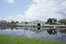 ADP tạm ứng cổ tức đợt 1 năm 2021, tỷ lệ 10%