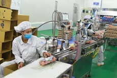 Đấu giá công trình, máy móc nhà máy trứng gà sạch của Công ty TNHH ĐTK Phú Thọ