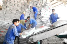 Theo phản ánh, HSMT đưa ra thông số kỹ thuật cứng đối với phân bón NPK mà trên thị trường chỉ có 1 nhà sản xuất đáp ứng. Ảnh minh họa: Gia Khoa