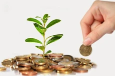 NTL chốt cổ tức tiền tỷ lệ 10%