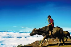 Mây được nhìn từ nhiều góc ở Tà Xùa