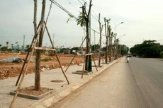 Điểm tin kế hoạch lựa chọn nhà thầu một số gói thầu lớn ngày 15/7