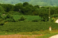 Nhà thầu phản ánh, hồ sơ mời thầu của Gói thầu Tư vấn lập quy hoạch sử dụng đất thời kỳ 2021 - 2030, huyện Đồng Hỷ, tỉnh Thái Nguyên yêu cầu số lượng hợp đồng tương tự quá nhiều. Ảnh: Văn Trì