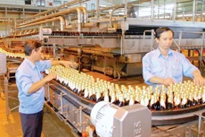 WSB chốt danh sách cổ đông tạm ứng cổ tức 10%