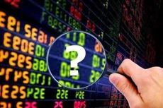 Không báo cáo dự kiến giao dịch, thành viên HĐQT VID bị phạt tiền