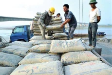 Xuất khẩu xi măng tăng trưởng giữa đại dịch