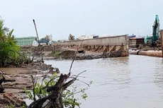 5 trong số 6 gói thầu xây kè tại huyện Cần Giờ (TP.HCM) vừa công bố kết quả chọn nhà thầu chỉ có 1 nhà thầu tham dự, 6 gói đều có tỷ lệ tiết kiệm không quá 0,2%. Ảnh minh họa: Ngọc Tuấn