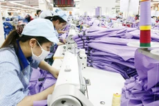 Chiến lược kinh doanh của doanh nghiệp cần thay đổi theo hướng coi trọng thị trường trong nước với tầng lớp trung lưu đang phát triển mạnh mẽ. Ảnh: Tường Lâm