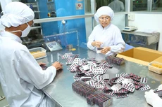 Đấu thầu thuốc tập trung giúp giảm giá thuốc theo chỉ đạo của Chính phủ, thống nhất đơn giá trúng thầu trong khu vực, trên toàn quốc. Ảnh: Gia Khoa