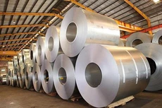 HSG hoàn tất phát hành 4,4 triệu cổ phiếu ESOP