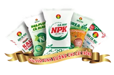 DCM chia cổ tức năm 2020 bằng tiền mặt, tỷ lệ 8%