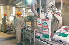 Quý I/2021, DGC báo lãi đạt hơn 290 tỷ đồng