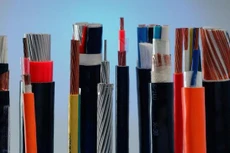 TYA đặt kế hoạch lợi nhuận tăng 5,5%