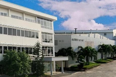 DP3 tạm ứng cổ tức 80% bằng tiền mặt