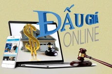 Thủ tướng đã yêu cầu tổ chức thí điểm đấu giá trực tuyến đối với một số tài sản công do bộ, ban, ngành ở Trung ương quản lý, quyền sử dụng đất hoặc tài sản gắn liền với quyền sử dụng đất có giá trị lớn