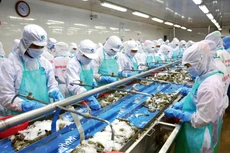 Chính phủ sẽ sớm ban hành một số giải pháp cấp bách nhằm tháo gỡ khó khăn, thúc đẩy sản xuất, kinh doanh của doanh nghiệp trong bối cảnh đại dịch Covid-19. Ảnh: Lê Tiên