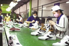 Việc tính toán GDP căn cứ thông tin từ điều tra tháng, quý, năm; chế độ báo cáo thống kê và nguồn thông tin từ bộ, ngành, các tập đoàn, tổng công ty. Ảnh: Lê Tiên