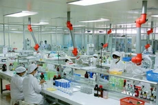 DHG: Lợi nhuận sau thuế 6 tháng đạt 404 tỷ đồng, tăng 11,5%