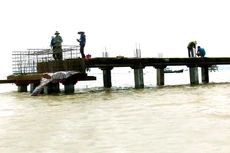 Trong 3 năm qua, Công ty TNHH Đầu tư và Xây dựng Kim Đông được công bố trúng 13 gói thầu, với tổng giá trúng thầu đạt trên 568 tỷ đồng