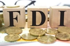 2 tháng đầu năm 2021, vốn FDI đăng ký tăng thêm tăng 2,5 lần