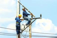 Một số gói thầu của các đơn vị thuộc ngành điện không thu hút được nhiều nhà thầu quan tâm. Ảnh: Nhã Chi