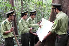 Gói thầu Thực hiện mua sắm trang phục kiểm lâm năm 2021 của Khu bảo tồn thiên nhiên văn hóa Đồng Nai do Công ty TNHH Xây dựng Đông Đô Thành mời thầu. Ảnh: Quang Quyết