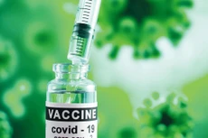 Cần xem xét cơ chế bố trí nguồn đầu tư công để hỗ trợ nghiên cứu, sản xuất vắc xin trong nước và khi cần thiết có thể triển khai mua sắm theo Điều 26 Luật Đấu thầu