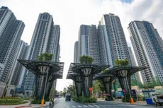 TN1 lên phương án chia cổ tức bằng cổ phiếu, tỷ lệ 45%