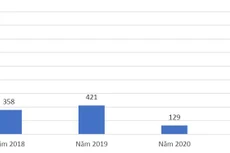Quy mô trúng thầu của Công ty CP Tập đoàn Việt Úc từ năm 2018 đến nay trong cả vai trò nhà thầu độc lập và thành viên liên danh