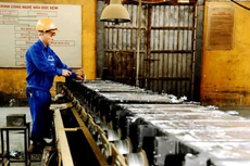 TMG trả cổ tức đợt 2 năm 2020 tỷ lệ 23%