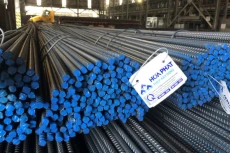 Quý II/2021, Hòa Phát đạt lợi nhuận sau thuế 9.745 tỷ đồng