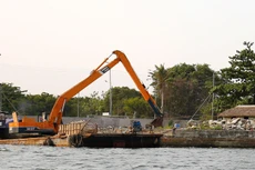 Nhiều gói thầu xây dựng kè trên địa bàn huyện Cần Giờ (TP.HCM) chỉ có 1 nhà thầu dự, giá trúng thầu bám sát giá gói thầu, tỷ lệ giảm giá đạt dưới 1%. Ảnh: Song Lê