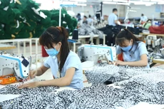 Ngoài lĩnh vực kinh doanh cốt lõi là dệt may, Agtex 28 còn hoạt động trong lĩnh vực kinh doanh xăng dầu và bất động sản. Ảnh: Nhã Chi