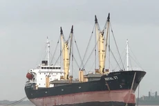 Ảnh minh họa: Internet