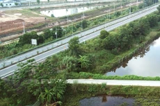 Dự án Đầu tư xây dựng đường cao tốc Tuyên Quang - Phú Thọ kết nối với cao tốc Nội Bài - Lào Cai có tổng mức đầu tư 3.112,97 tỷ đồng. Ảnh: Lê Tiên