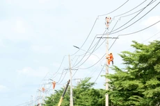 Công ty Điện lực Long An thực hiện hiệu quả công tác đấu thầu