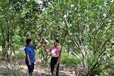 Hồ sơ mời thầu yêu cầu nhà thầu tham dự phải có hợp đồng công trình sử dụng nguồn vốn ngân sách nhà nước là hạn chế sự tham gia của nhà thầu. Ảnh: Thục Quyên