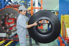 Năm 2021, CSM đặt kế hoạch lợi nhuận 100 tỷ đồng