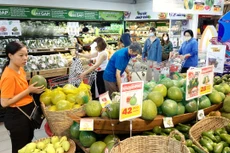 Sức cầu nội địa đã tăng trong 2 tháng đầu năm và dự báo tiếp tục cải thiện trong tháng 3 cũng như những tháng tiếp theo nếu dịch bệnh được kiểm soát tốt. Ảnh: Phú An