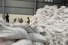 Phát hiện hơn 50 tấn tinh bột sắn có dấu hiệu giả mạo nguồn gốc, xuất xứ tại Hải Phòng