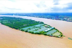 Cần Thơ cho phép T&T Group khảo sát đầu tư dự án ở Cồn Sơn