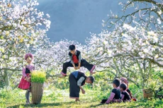 Xuân về trên mọi nẻo đường quê hương