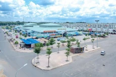 D2D báo lãi giảm 39,4% trong quý II