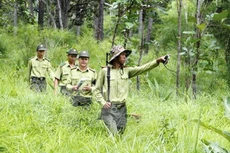 Gói thầu số 01 thuộc Kế hoạch Mua sắm cấp hiệu, biểu tượng, biển hiệu, cờ hiệu, cờ truyền thống và trang phục kiểm lâm đối với Chi cục Kiểm lâm tỉnh Yên Bái. Ảnh minh họa: Hương Giang