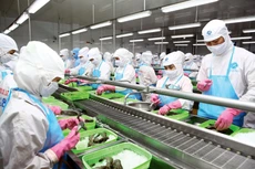 Tiếp tục cải cách nhằm tháo gỡ các “nút thắt” cho doanh nghiệp phát triển chính là giải pháp tăng “sức đề kháng” cho doanh nghiệp, nền kinh tế. Ảnh: Nhã Chi
